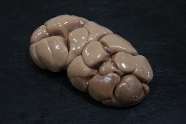 rognon boeuf.jpg